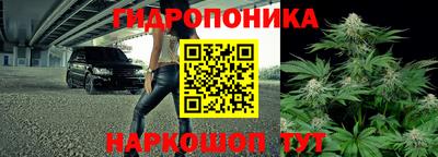 шишки Бузулук