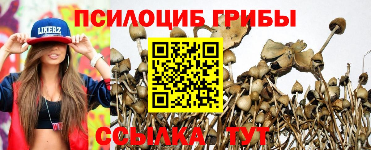Галлюциногенные грибы MAGIC MUSHROOMS  Вход с VPN  Барабинск 